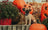 Pug puppy among orange pumpkins and red mums at Scout’s Honor October giveaways