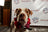 Brown and white pit bull in a red floral lei supporting the Rescued Pets Movement.
