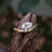 Sideways Lab Diamond Teardrop Ring