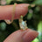 Pearl Oval Necklace
