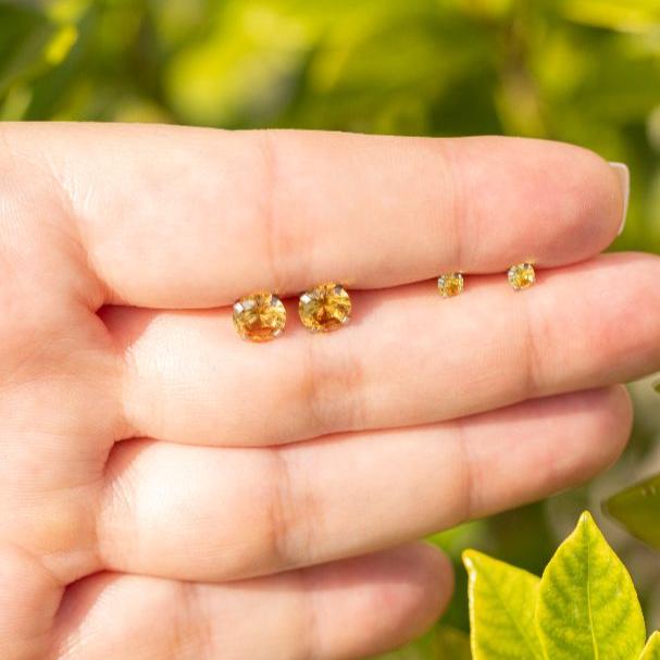 Citrine Stud Earrings