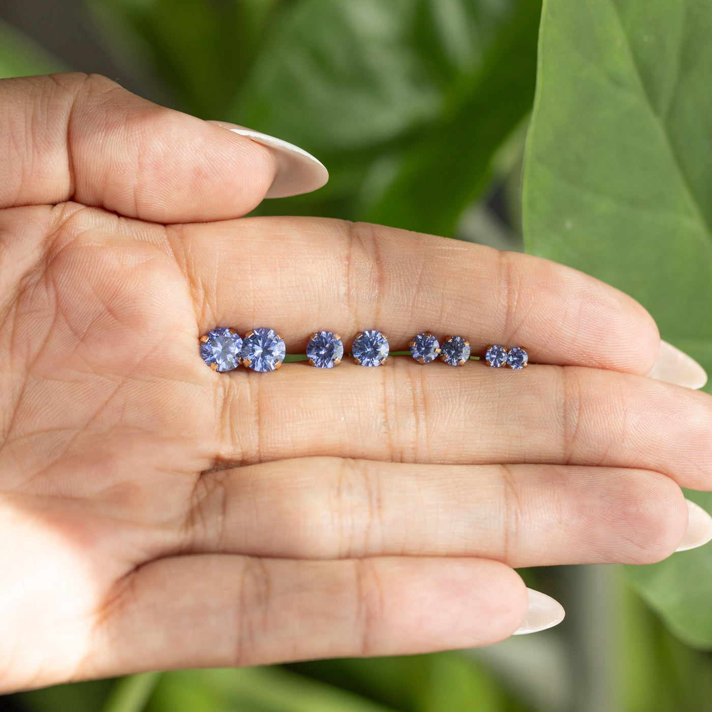 LS Tanzanite Stud Earrings