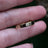 Moissanite Clover Eternity Band Rings Handmade Handcrafted