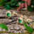 Halo Stud - Emerald Earrings Handmade Handcrafted