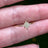 Moissanite Star Ring Rings Handmade Handcrafted