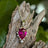 Celestial Drop - Ruby Upside-Down Teardrop Necklace Necklaces Handmade Handcrafted