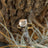 The Asher - Natural Clear Quartz Rings Handmade Handcrafted