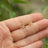 The Caroline - Mini Earrings Handmade Handcrafted