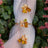 The Elia - Citrine Small Cluster Studs Earrings Handmade Handcrafted
