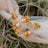 The Tulia - Citrine Cluster Studs Earrings Handmade Handcrafted