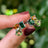 The Tulia - Custom Gemstone Cluster Studs Earrings Handmade Handcrafted