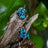 The Tulia - London Blue Topaz Cluster Studs Earrings Handmade Handcrafted