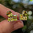 The Tulia - Peridot Cluster Studs Earrings Handmade Handcrafted