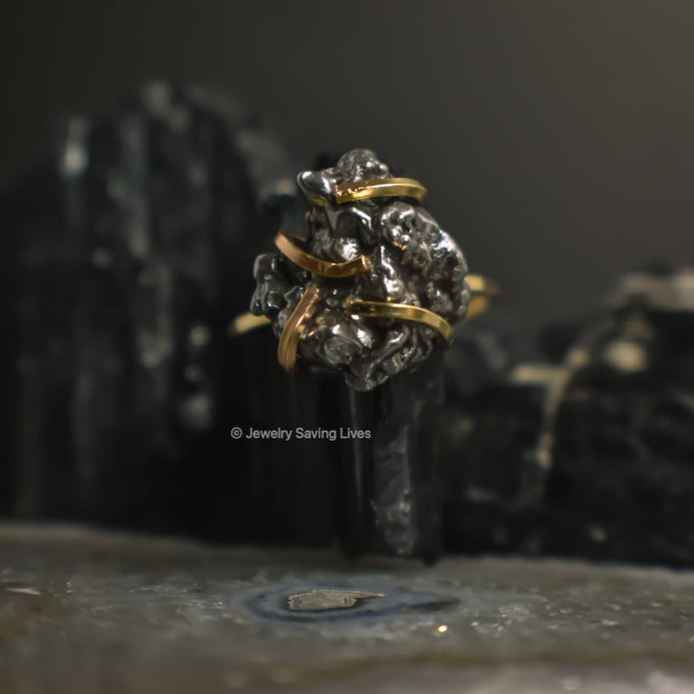 Meteorite Ring