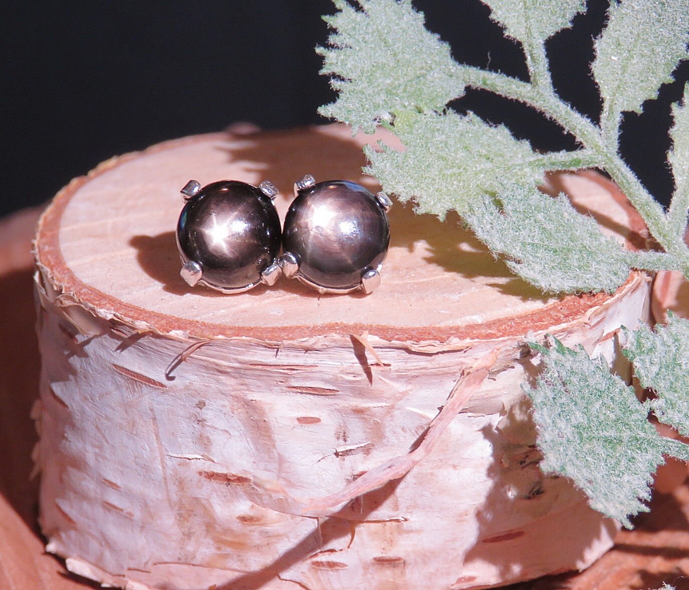 Black Star Sapphire Stud Earrings